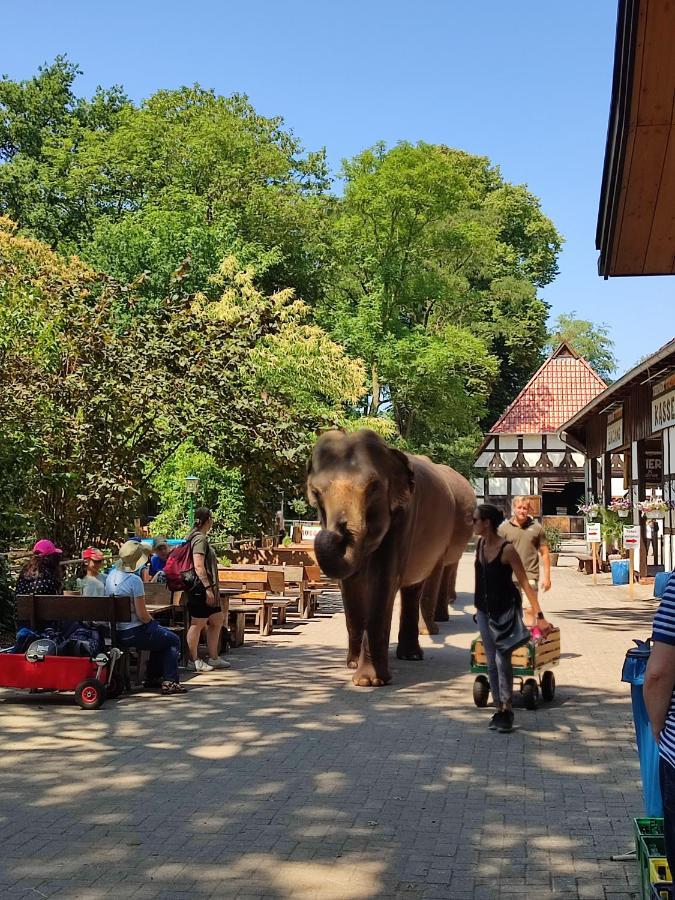 Tierpark Entdeckerhaeuser Wagenfeld المظهر الخارجي الصورة
