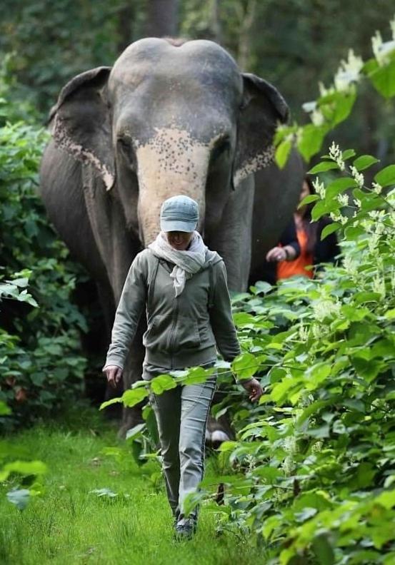Tierpark Entdeckerhaeuser Wagenfeld المظهر الخارجي الصورة