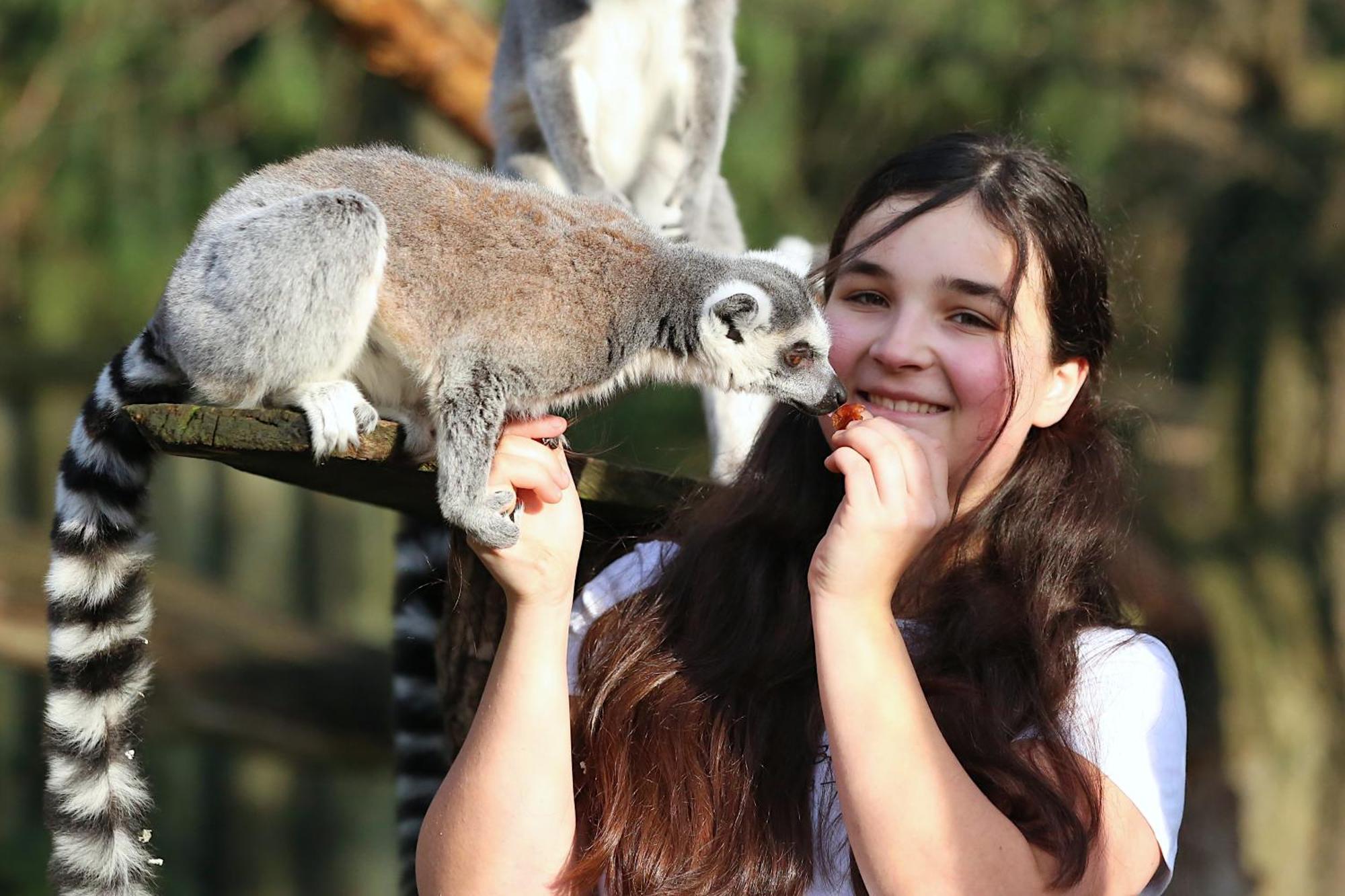Tierpark Entdeckerhaeuser Wagenfeld المظهر الخارجي الصورة