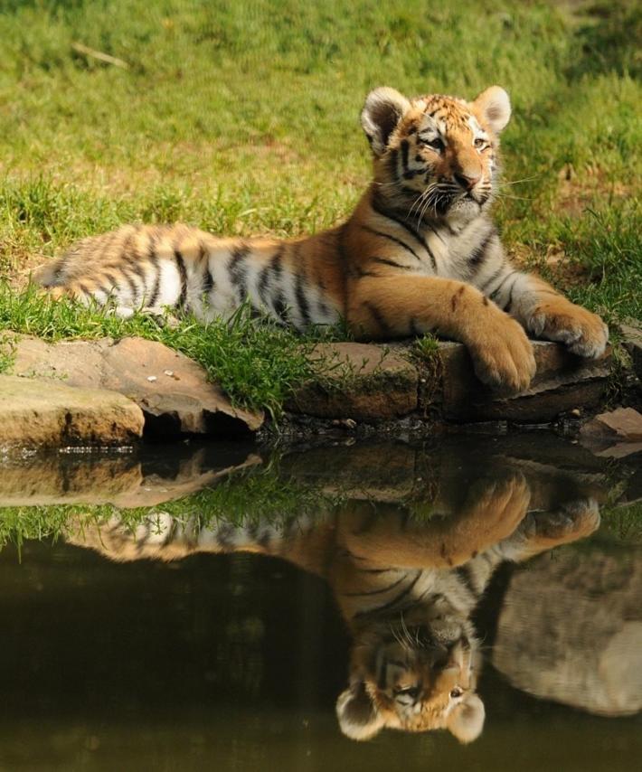 Tierpark Entdeckerhaeuser Wagenfeld المظهر الخارجي الصورة